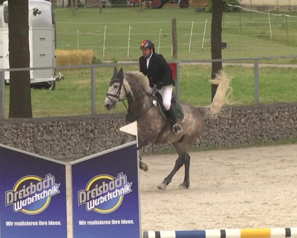 Reitturnier Ingolstadt-Hagau 2017