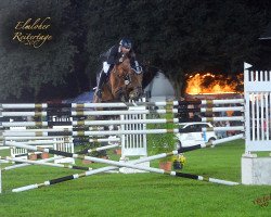broodmare Calida Z (Zangersheide riding horse, 2007, from Calvaro Z)