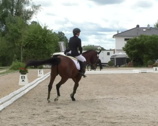Reitturnier Ingolstadt-Hagau 2017