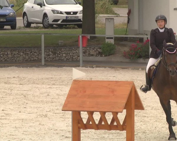 Reitturnier Ingolstadt-Hagau 2017