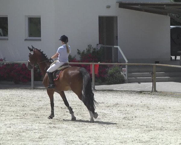 Reitturnier Ingolstadt-Hagau 2017