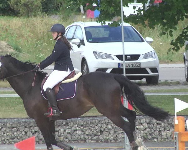Reitturnier Ingolstadt-Hagau 2017