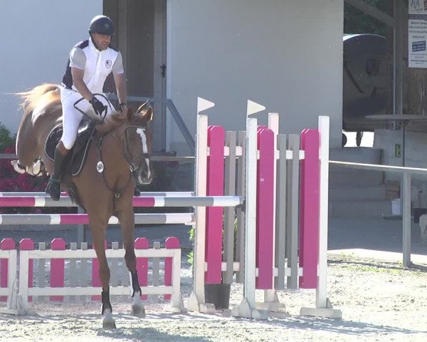 Reitturnier Ingolstadt-Hagau 2017