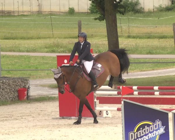 Reitturnier Ingolstadt-Hagau 2017