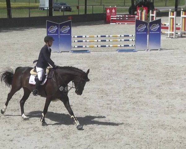 Reitturnier Ingolstadt-Hagau 2017