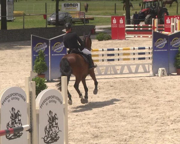 Reitturnier Ingolstadt-Hagau 2017