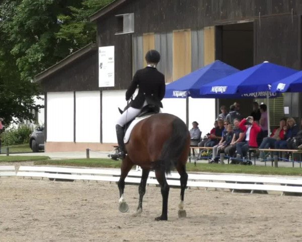 Reitturnier Ingolstadt-Hagau 2017