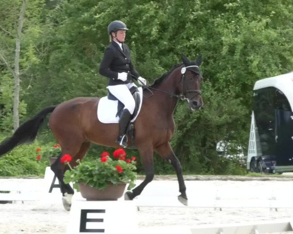 Reitturnier Ingolstadt-Hagau 2017