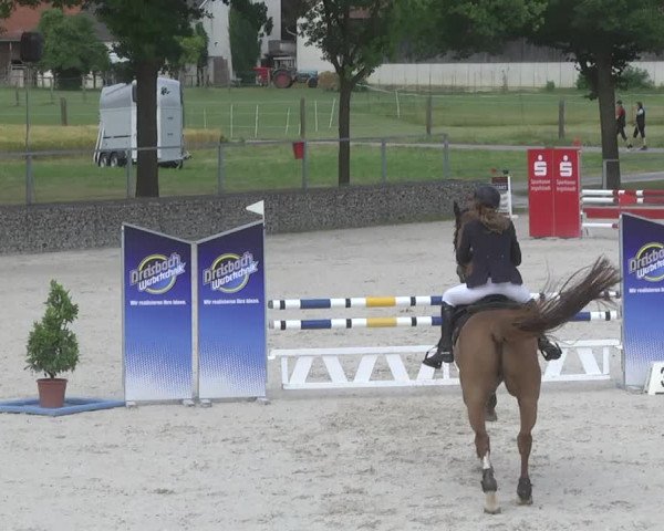 Reitturnier Ingolstadt-Hagau 2017