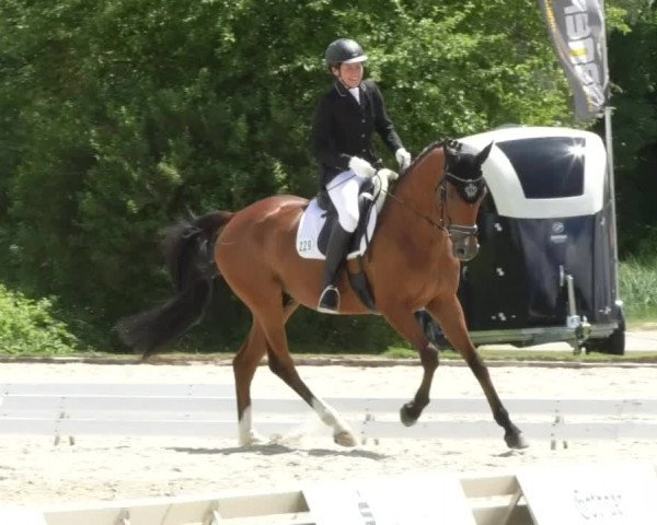 Reitturnier Ingolstadt-Hagau 2017