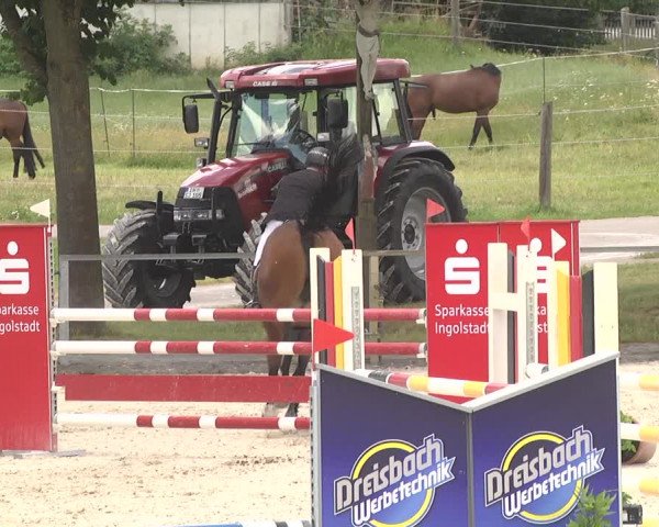 Reitturnier Ingolstadt-Hagau 2017