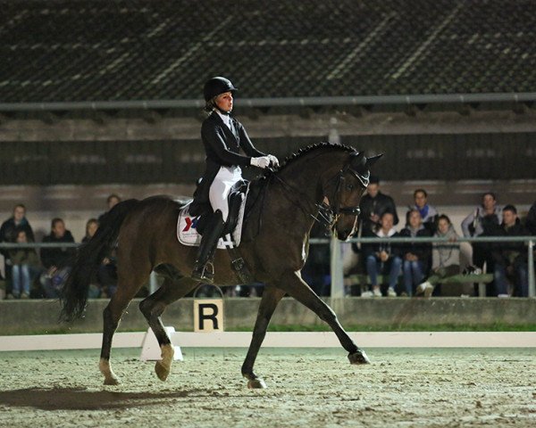 dressage horse Cardos G.i.H. (Westphalian, 2004, from Calambo)