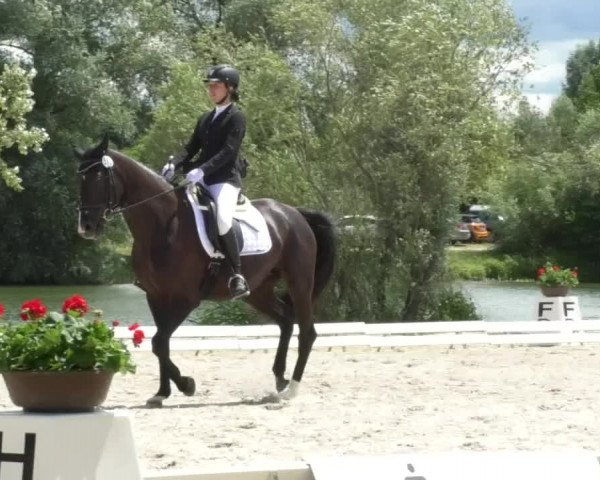 Reitturnier Ingolstadt-Hagau 2017