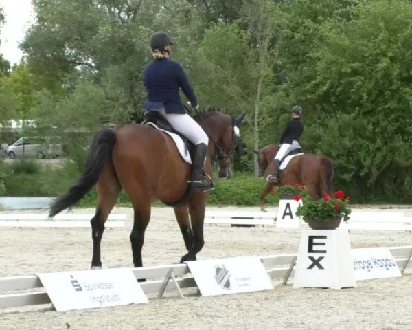 Reitturnier Ingolstadt-Hagau 2017
