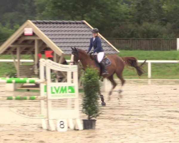 Reitturnier Melle-Ostenfelde 2017