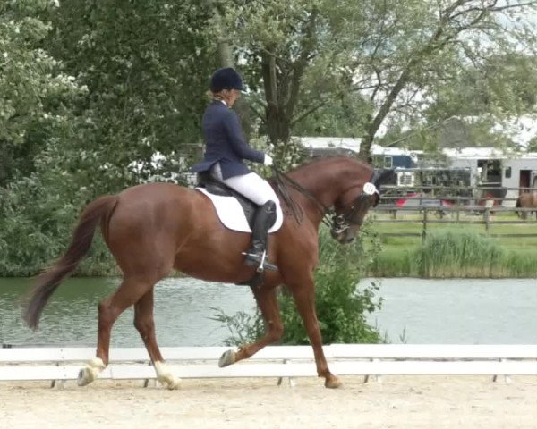Reitturnier Ingolstadt-Hagau 2017
