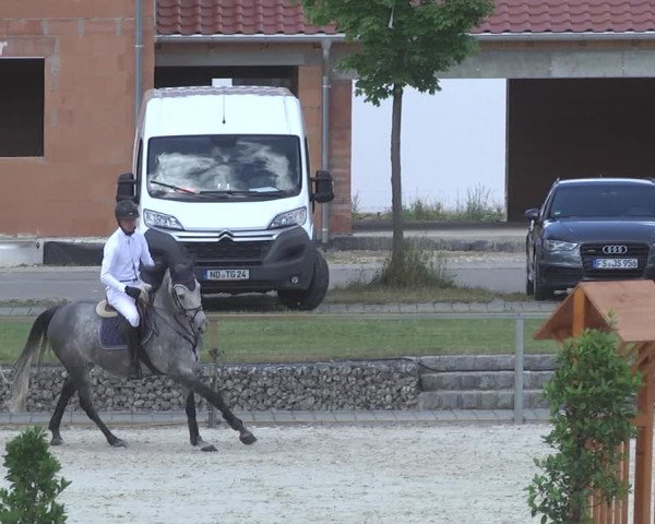 Reitturnier Ingolstadt-Hagau 2017