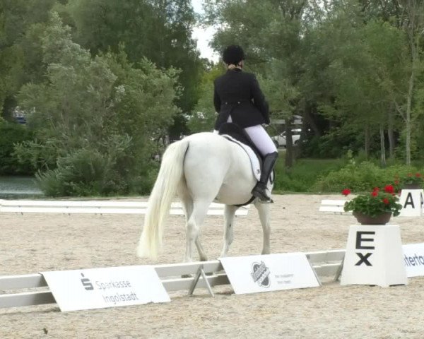 Reitturnier Ingolstadt-Hagau 2017