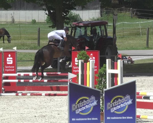 Reitturnier Ingolstadt-Hagau 2017