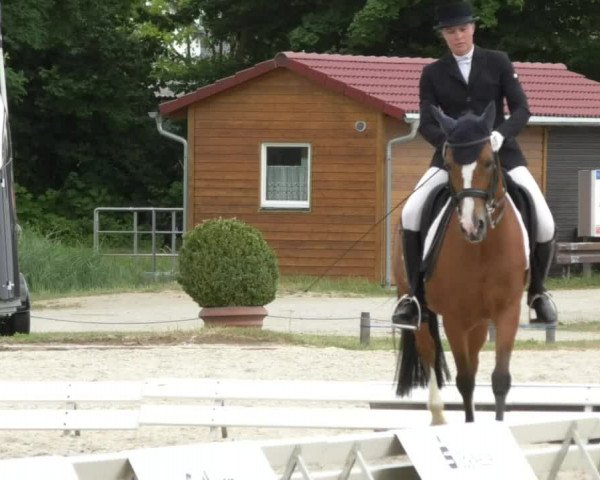 Reitturnier Ingolstadt-Hagau 2017