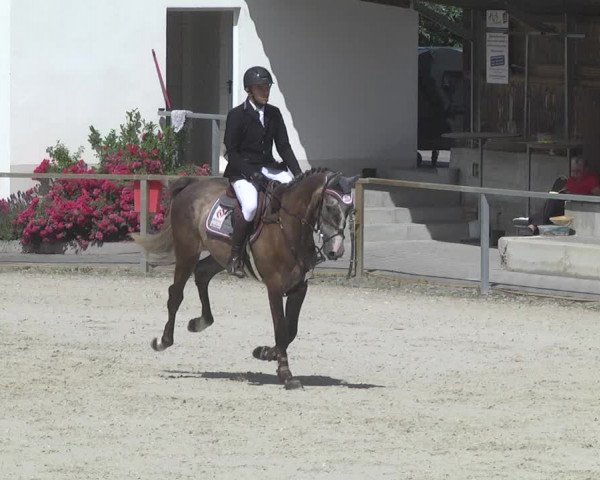 Reitturnier Ingolstadt-Hagau 2017