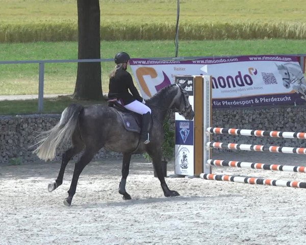 Reitturnier Ingolstadt-Hagau 2017