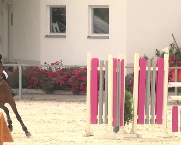 Reitturnier Ingolstadt-Hagau 2017