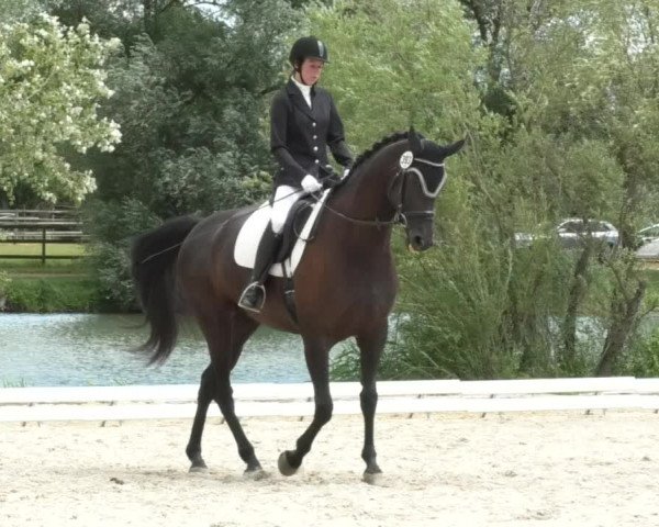 Reitturnier Ingolstadt-Hagau 2017