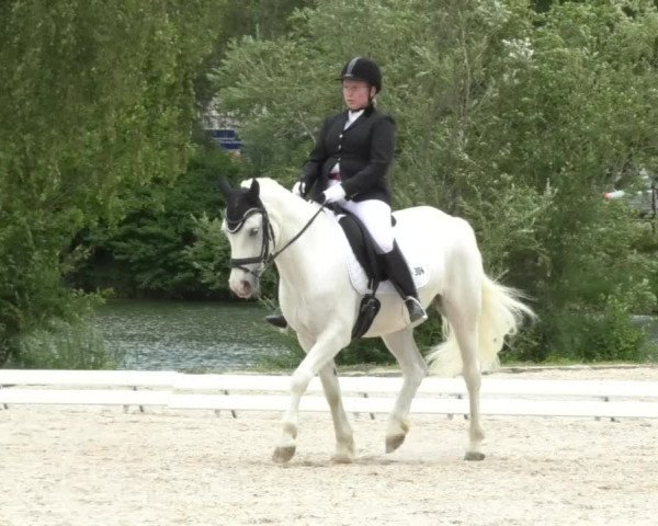 Reitturnier Ingolstadt-Hagau 2017