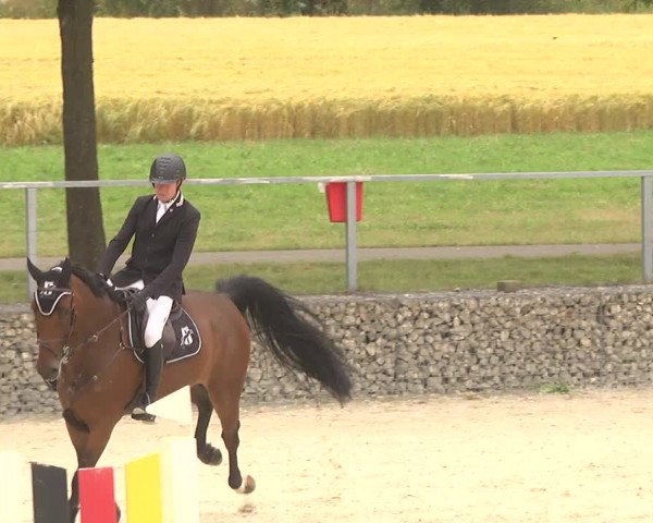Reitturnier Ingolstadt-Hagau 2017
