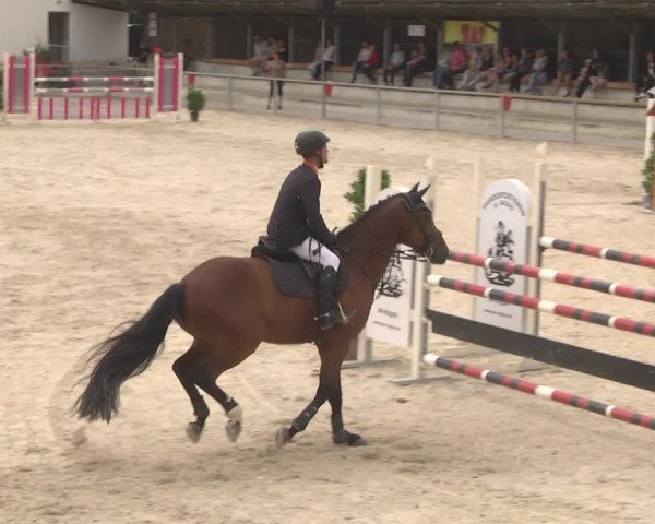 Reitturnier Ingolstadt-Hagau 2017