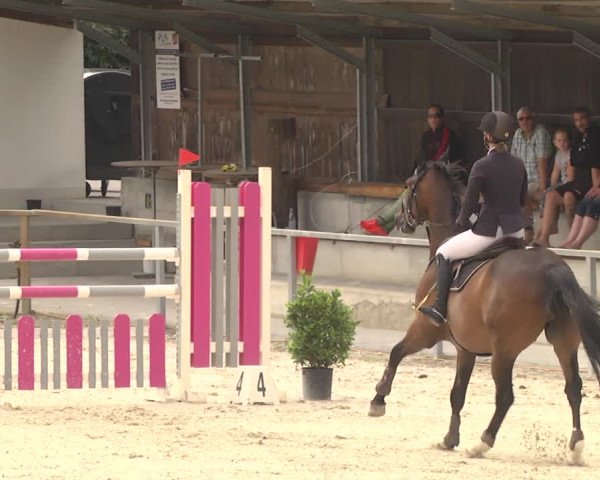 Reitturnier Ingolstadt-Hagau 2017