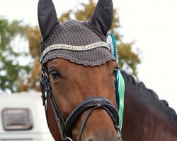 dressage horse Louisa K (Rhinelander, 2007, from Lacassini)