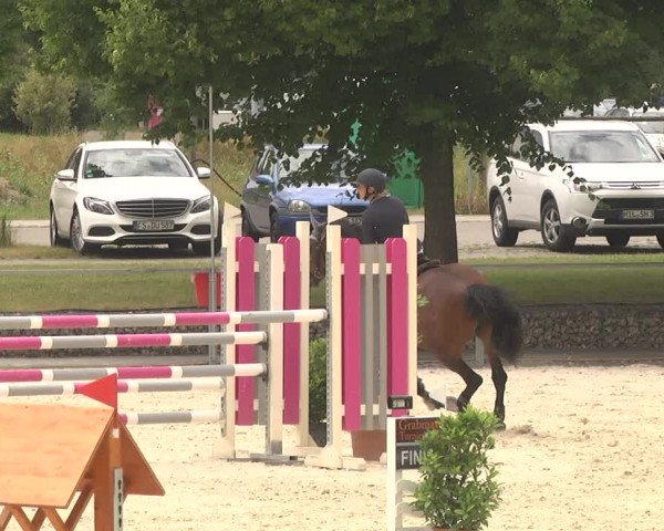 Reitturnier Ingolstadt-Hagau 2017