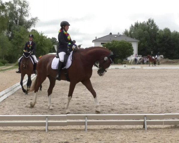 Reitturnier Ingolstadt-Hagau 2017