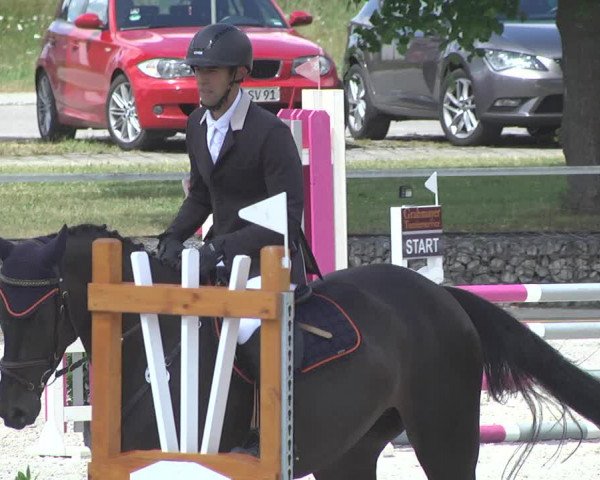Reitturnier Ingolstadt-Hagau 2017