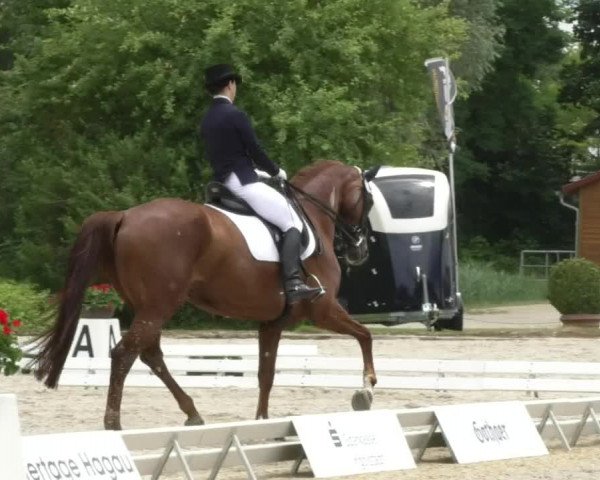 Reitturnier Ingolstadt-Hagau 2017