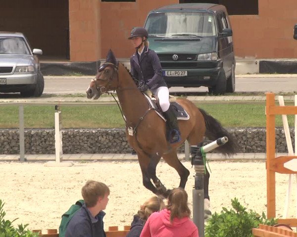 Reitturnier Ingolstadt-Hagau 2017