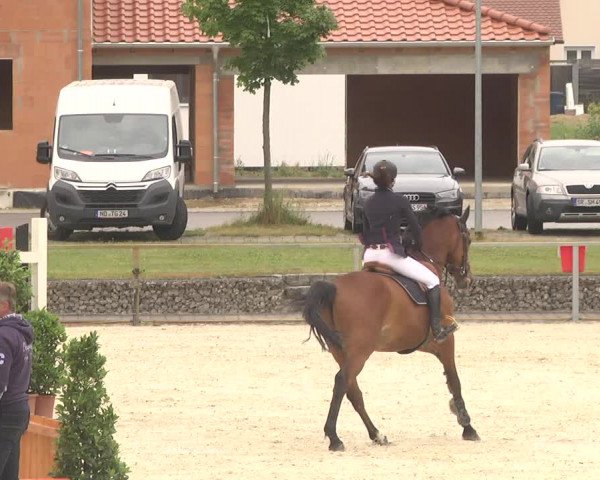 Reitturnier Ingolstadt-Hagau 2017