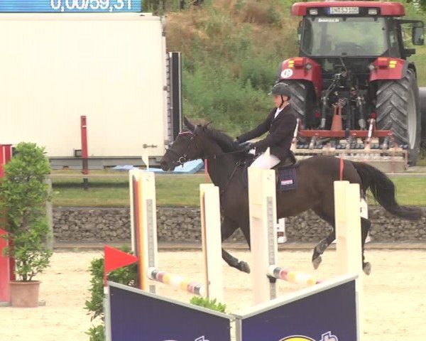 Reitturnier Ingolstadt-Hagau 2017