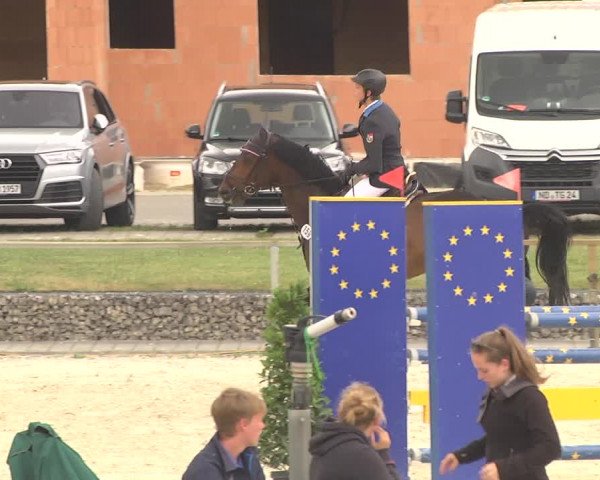 Reitturnier Ingolstadt-Hagau 2017