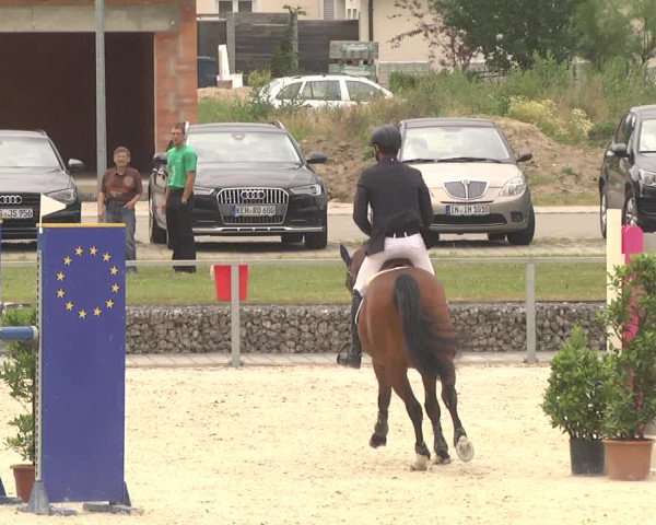 Reitturnier Ingolstadt-Hagau 2017