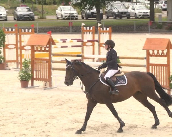 Reitturnier Ingolstadt-Hagau 2017
