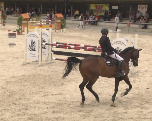 Reitturnier Ingolstadt-Hagau 2017