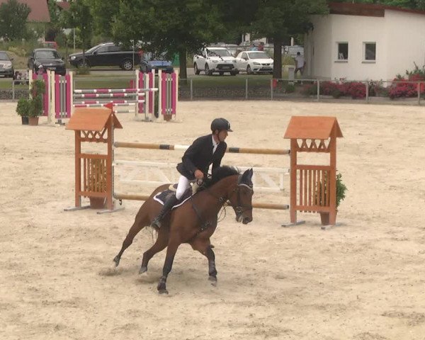 Reitturnier Ingolstadt-Hagau 2017