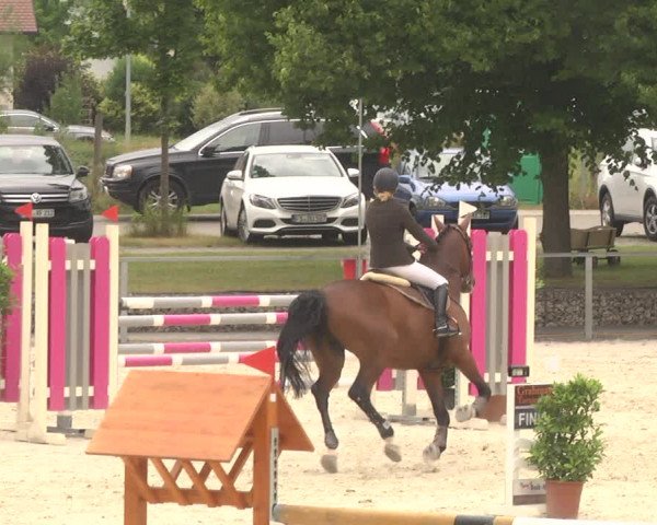 Reitturnier Ingolstadt-Hagau 2017