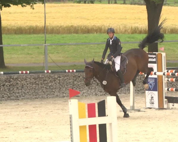 Reitturnier Ingolstadt-Hagau 2017
