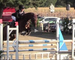 jumper Clarissa NRW (Westphalian, 2009, from Coronas 2)