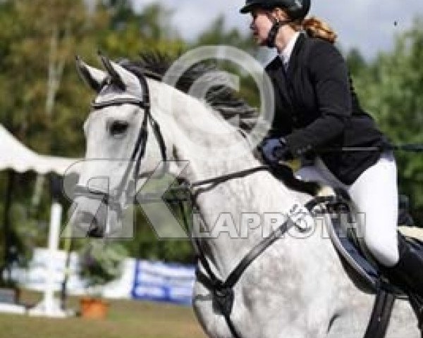 Springpferd Quadrigo R (Westfale, 2010, von Quipeggio)