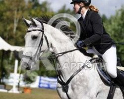 Springpferd Quadrigo R (Westfale, 2010, von Quipeggio)